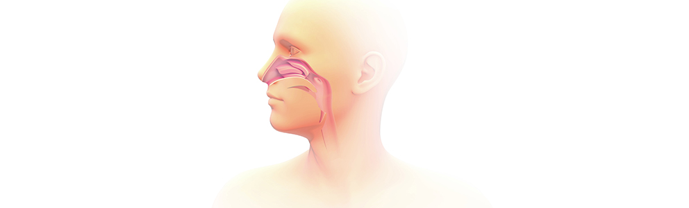 Schützen, abwehren, riechen: Die Nasenschleimhaut hat eine Reihe von wichtigen Funktionen für die Gesundheit des Körpers. Mehr dazu erfahren Sie hier!